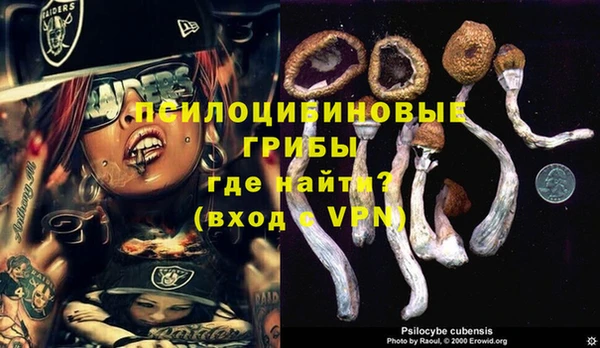 сатива Алексеевка
