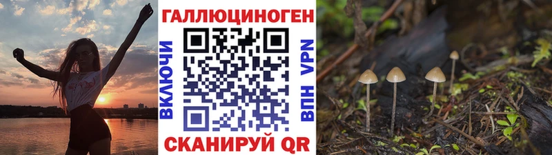 Галлюциногенные грибы прущие грибы где купить Карачаевск