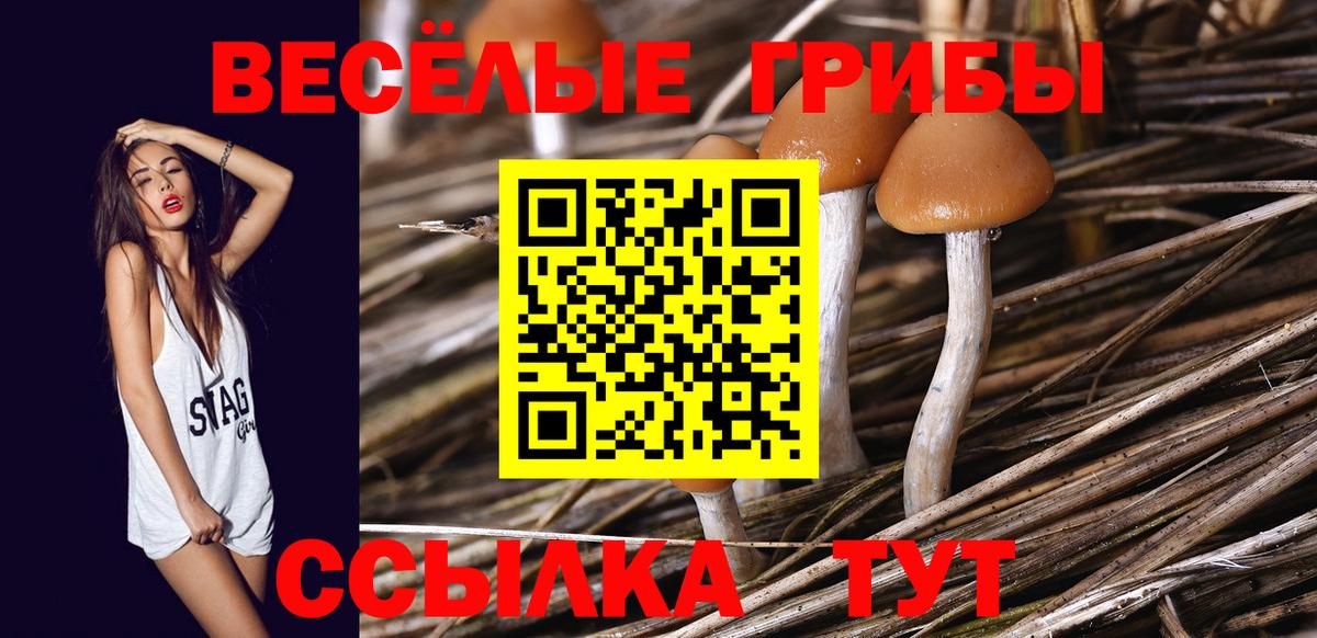 Галлюциногенные грибы ЛСД Карачаевск