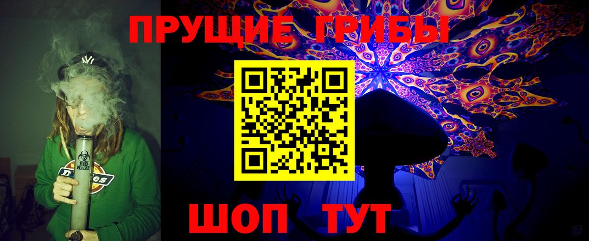 Карачаевск  Псилоцибиновые грибы GOLDEN TEACHER  Галлюциногенные грибы прущие грибы  Вход с VPN 